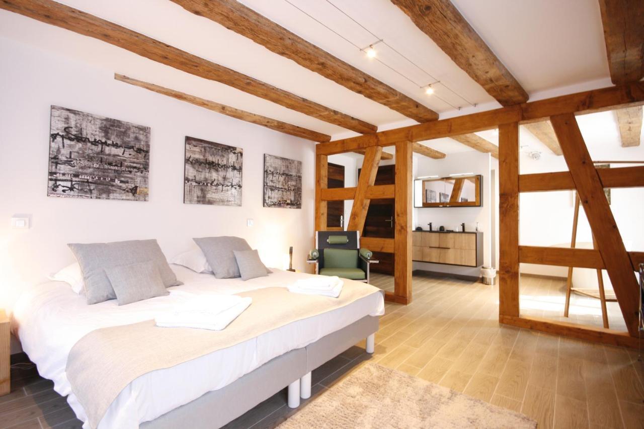 App'Art - Le T Avec Sauna Kaysersberg-Vignoble Bagian luar foto